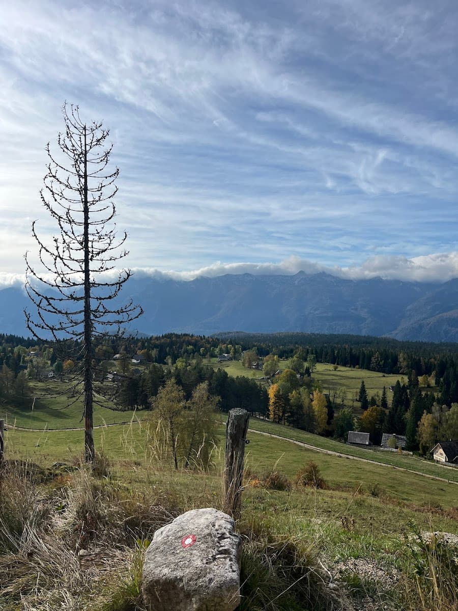 Hiking trail marker on rock overlooking green valley, forest, and distant mountains