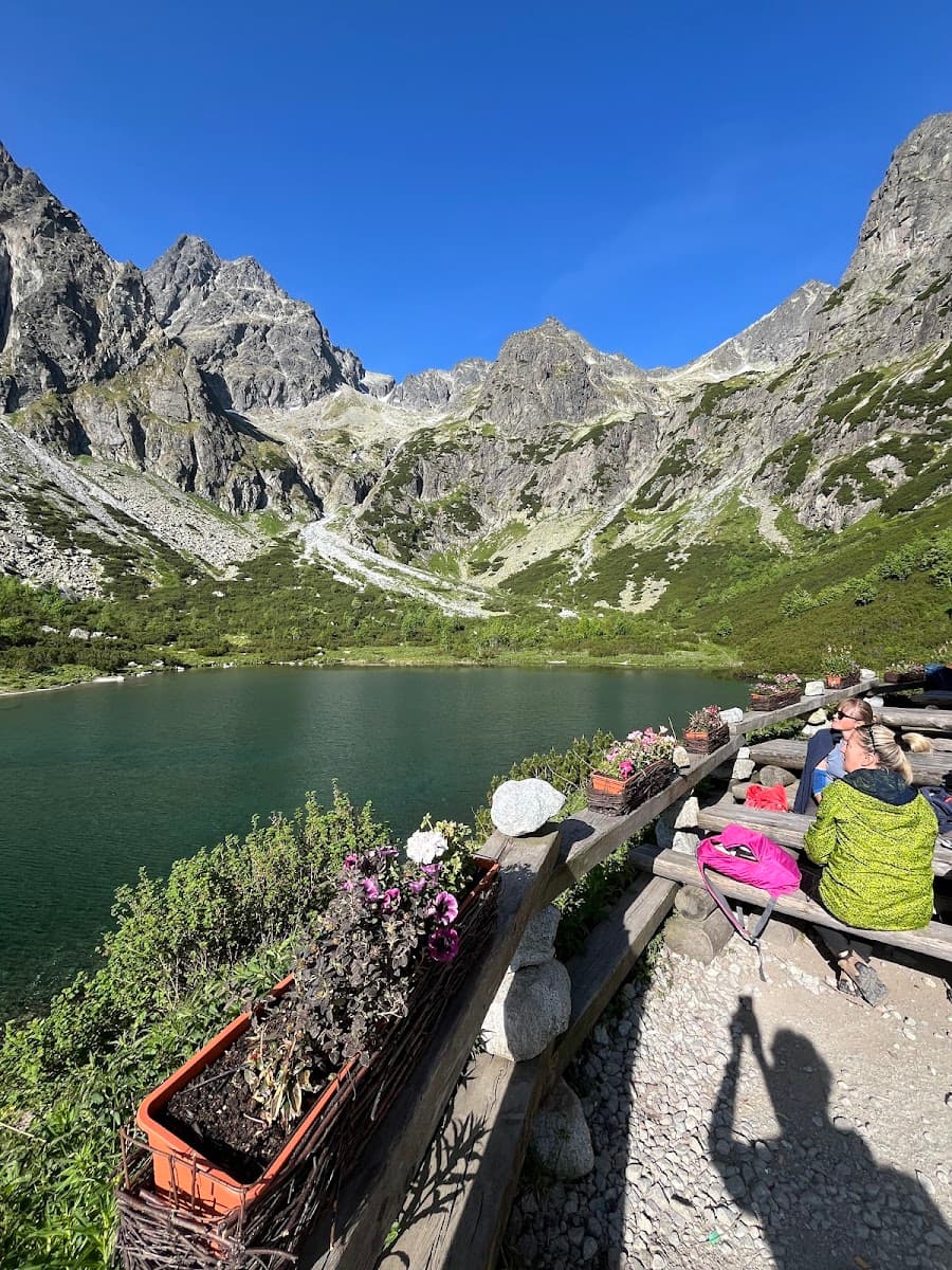 Mountain lake with rocky peaks, hikers resting by wooden railing with flowers