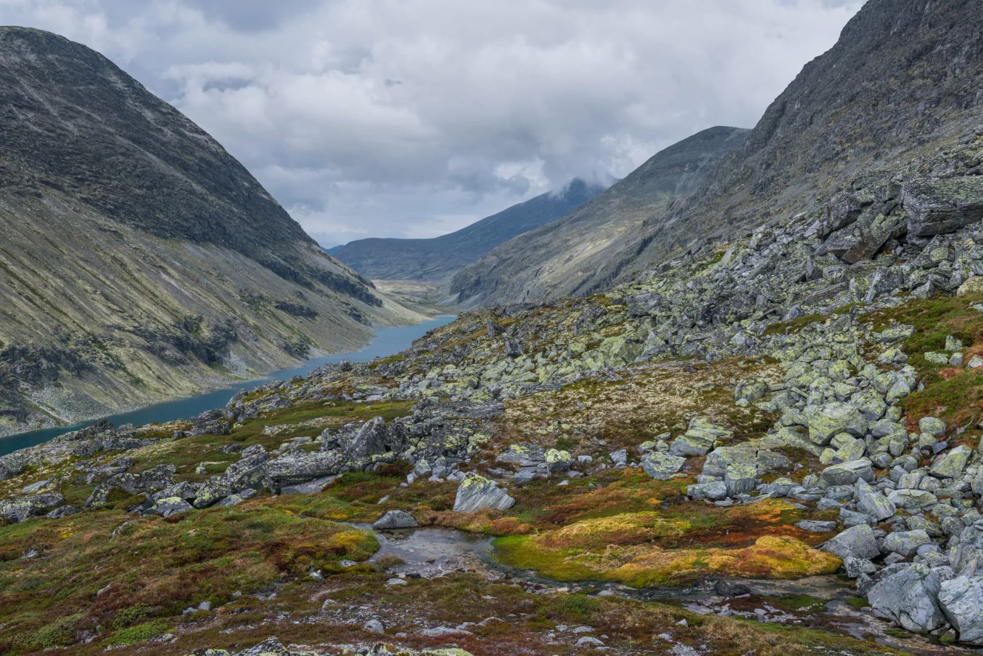 Rondane nationalpark Norwegen 5