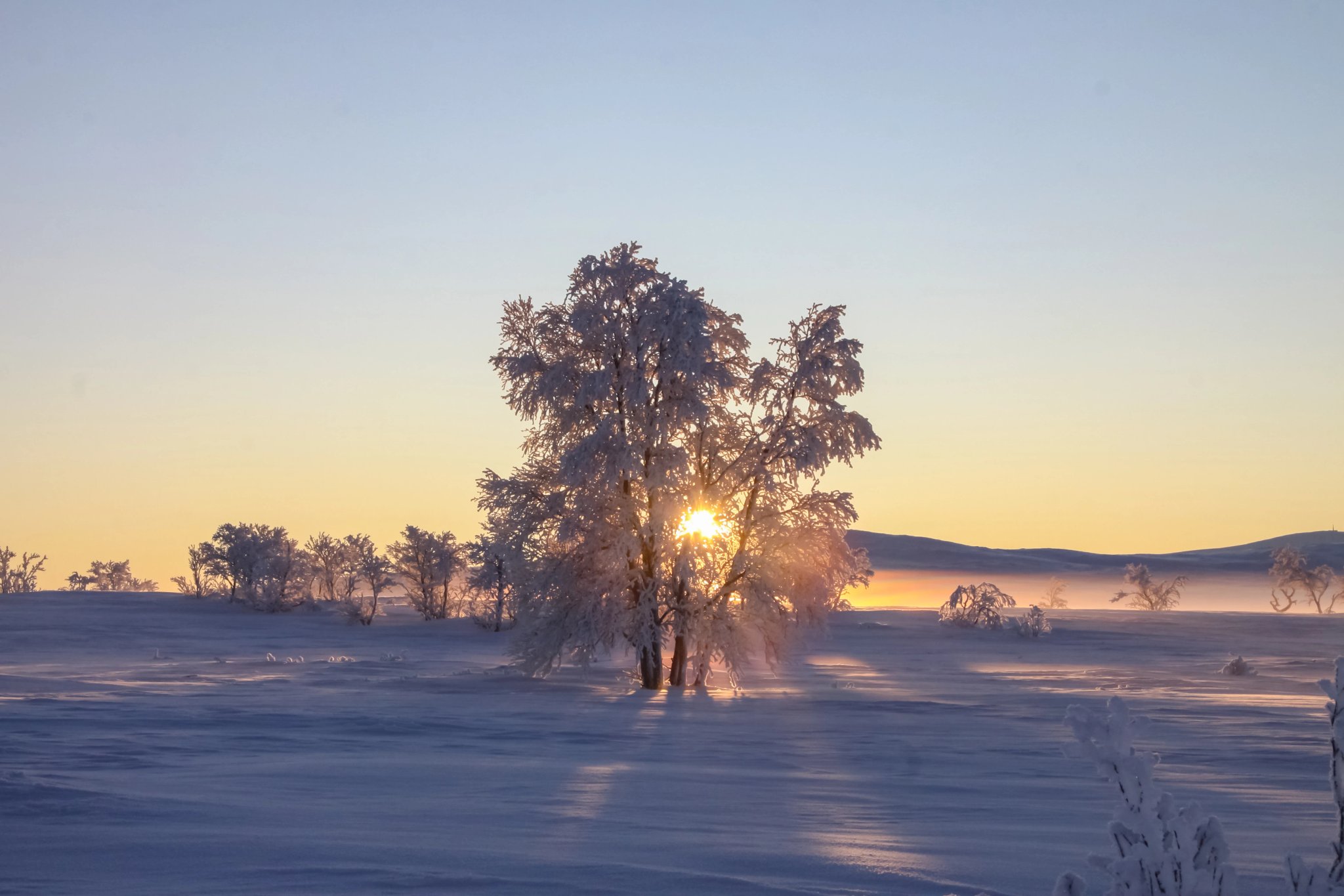 Winter in Røros area