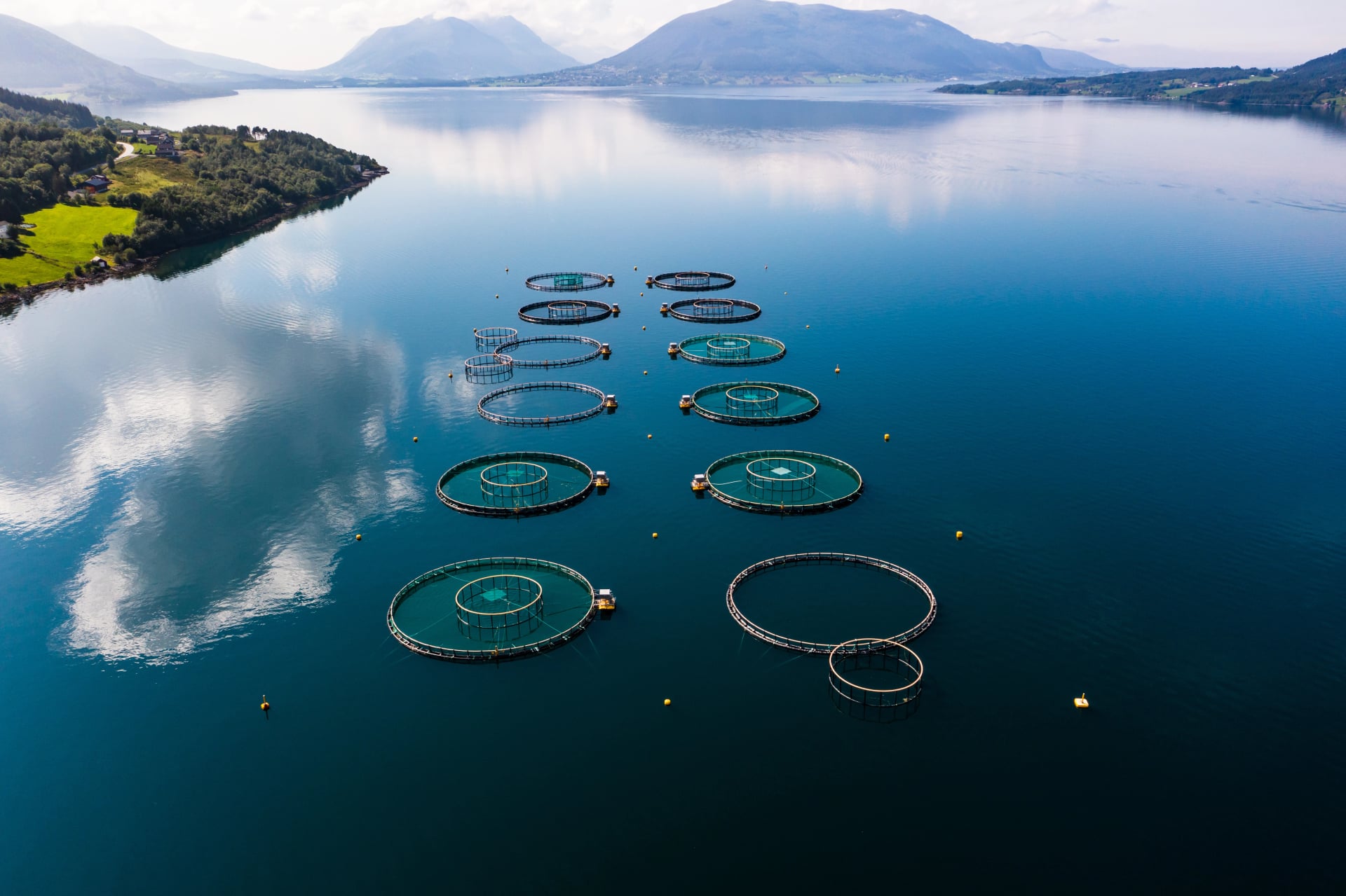 Fischkäfige in Mittelnorwegen an einem Sommertag