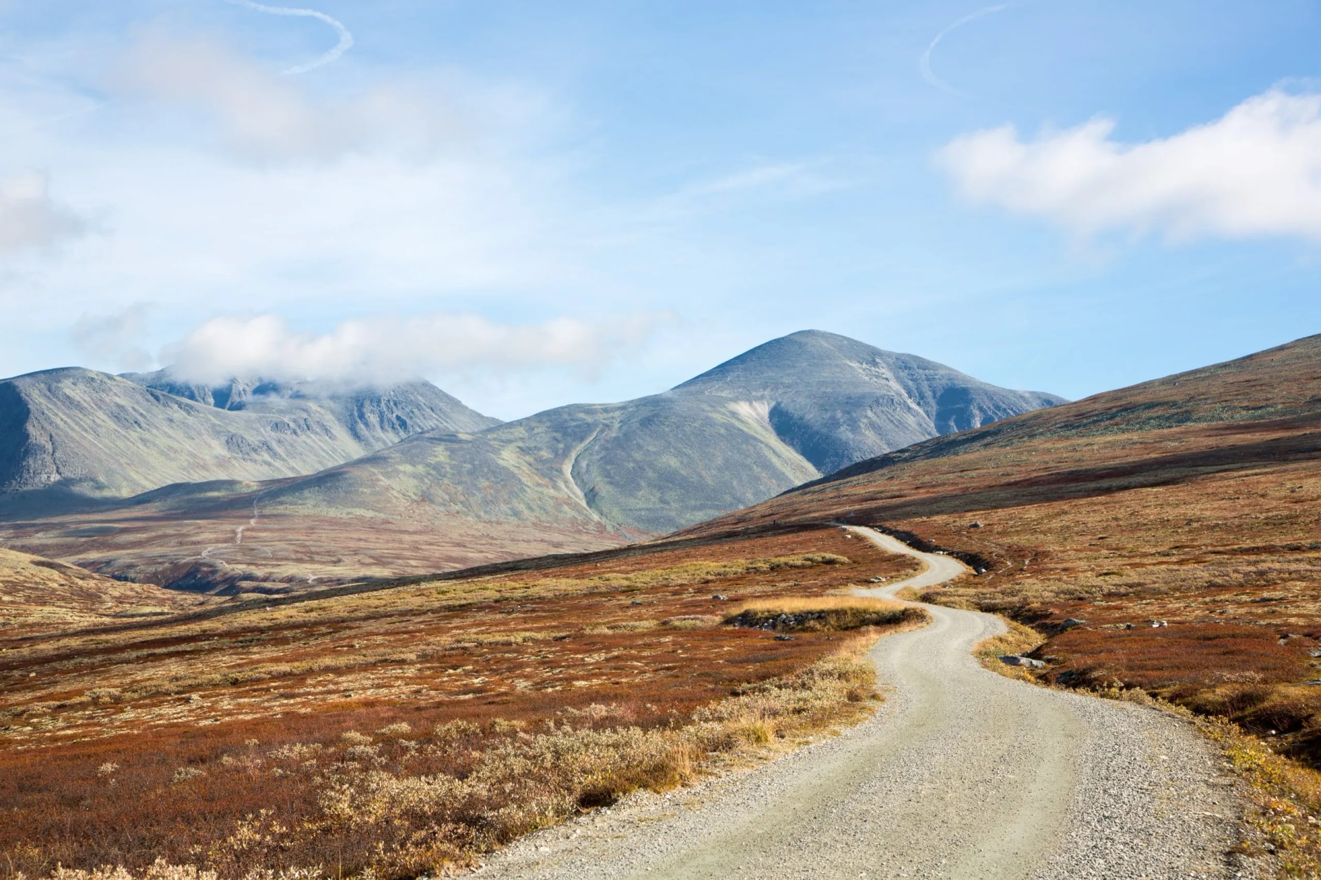 Winding gravel road through Rondane landscape with autumn tundra and mountains under a blue sky.