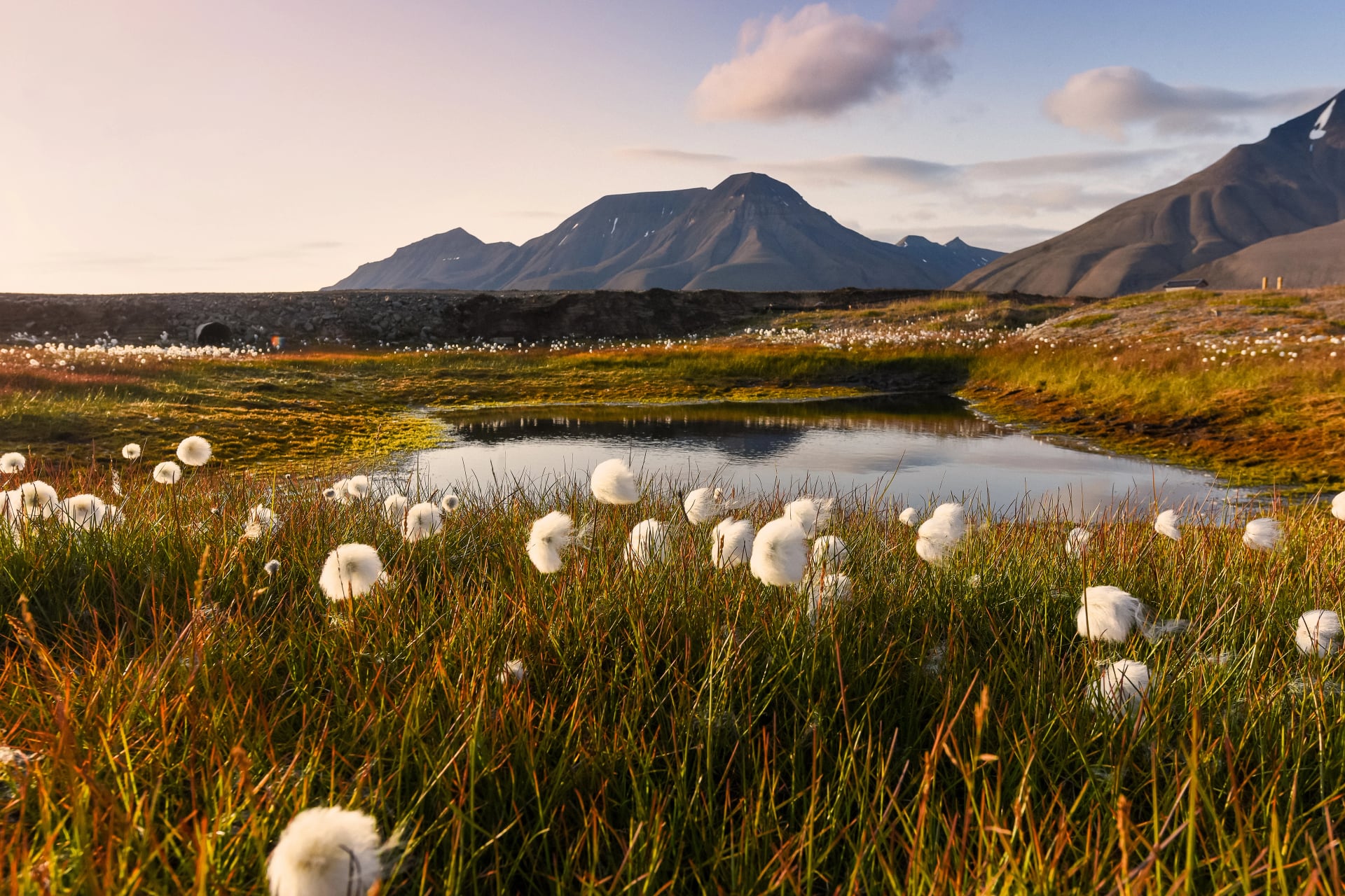 Wallpaper Norwegen Landschaft Natur der Berge von Spitsbergen Longyearbyen Svalbard an einem Blumen-Polar-Tag mit arktischem Sommer im Sonnenuntergang