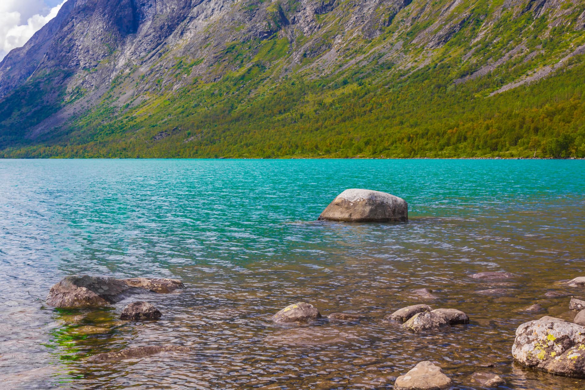 Turquoise mountain lake with rocks in shallow water and steep, green-covered slope in Norway.