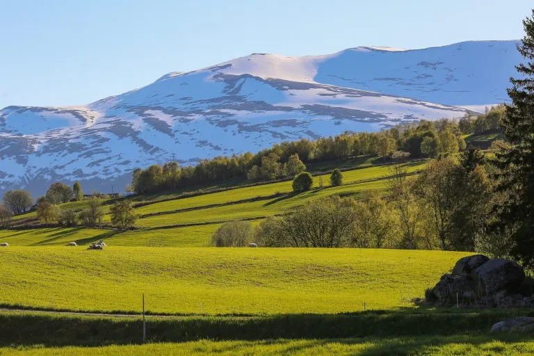 Spring in Norway