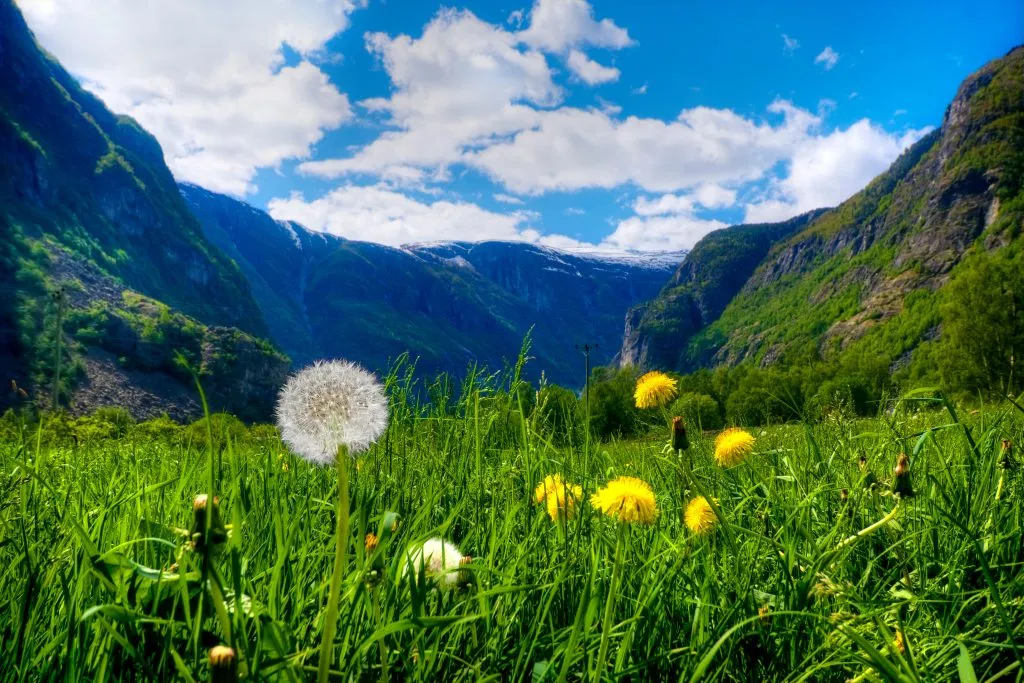 Vassbygdi in Aurland Westnorwegen