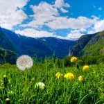 Vassbygdi in Aurland Westnorwegen